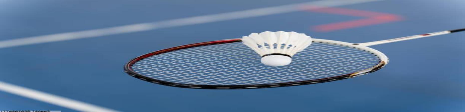 2026世界杯官网入口球迷专属礼包案