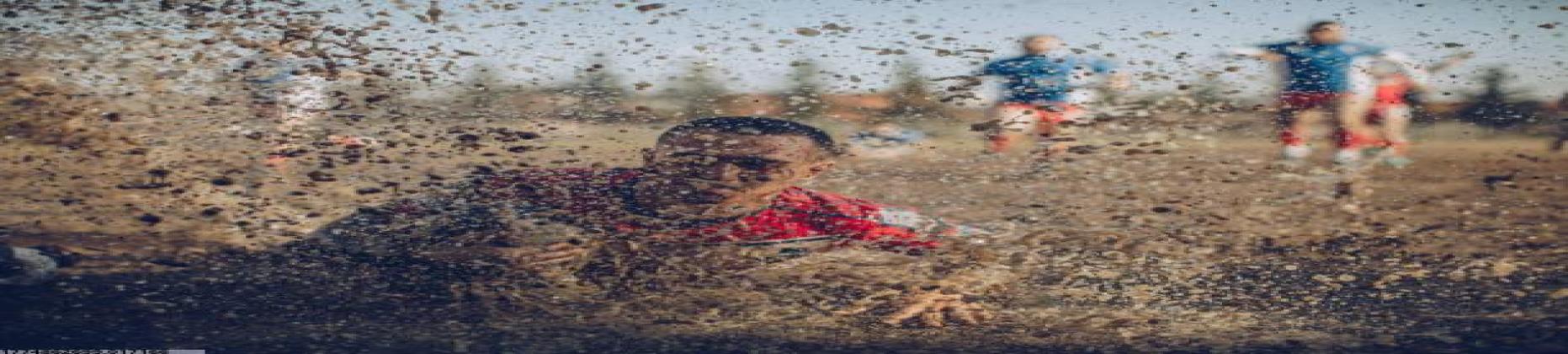 2026世界杯官网入口简介